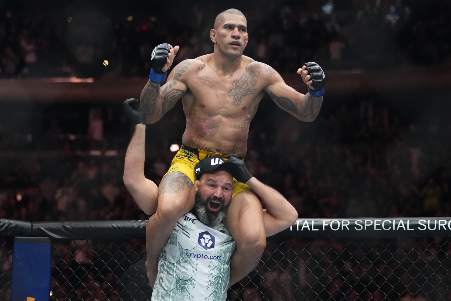 Watch ufc fight store night 176 online free